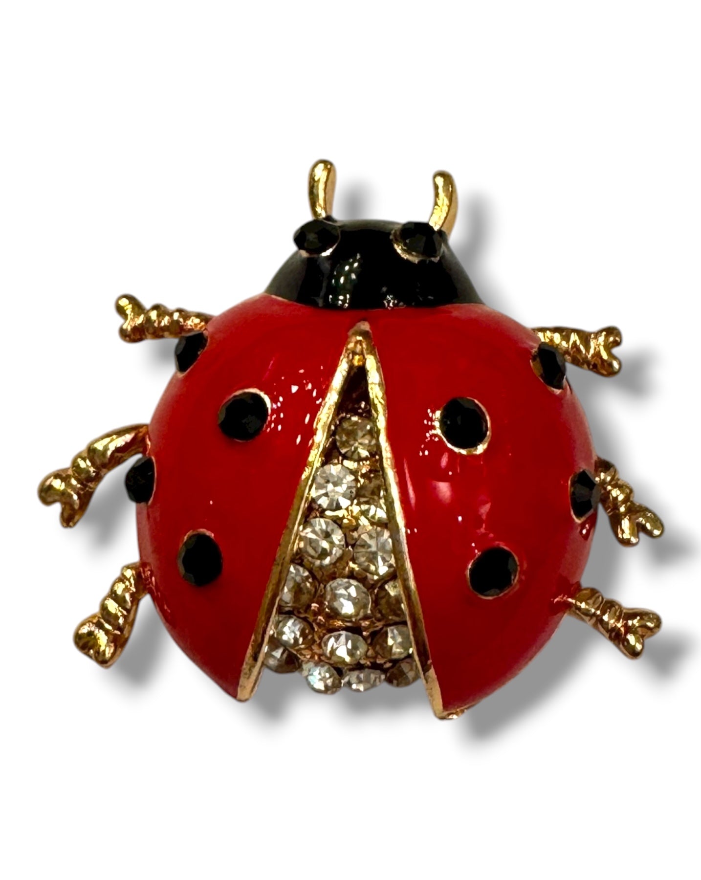 SPILLA LADYBUG