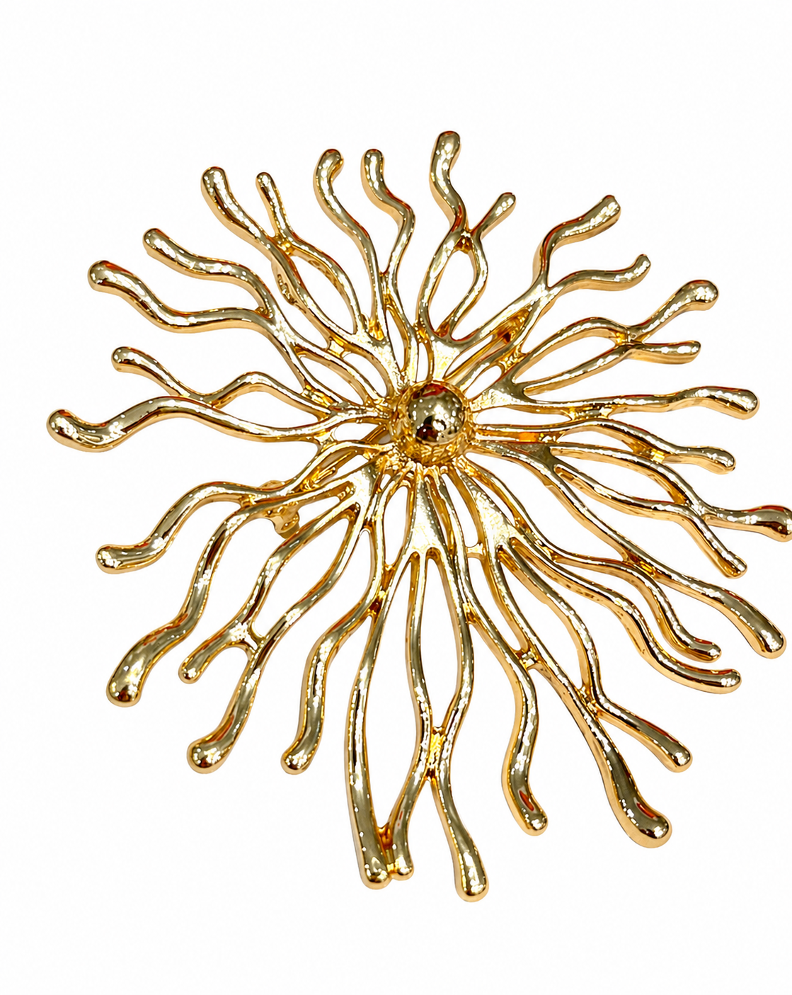 SPILLA CORALLINA