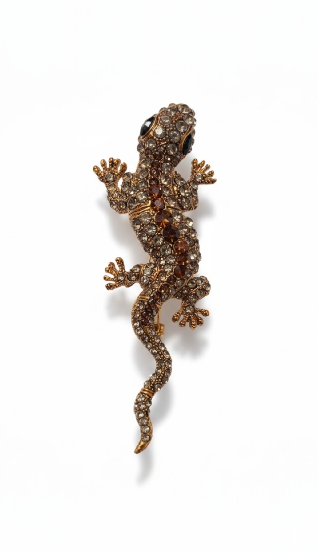 SPILLA LUCERTOLA
