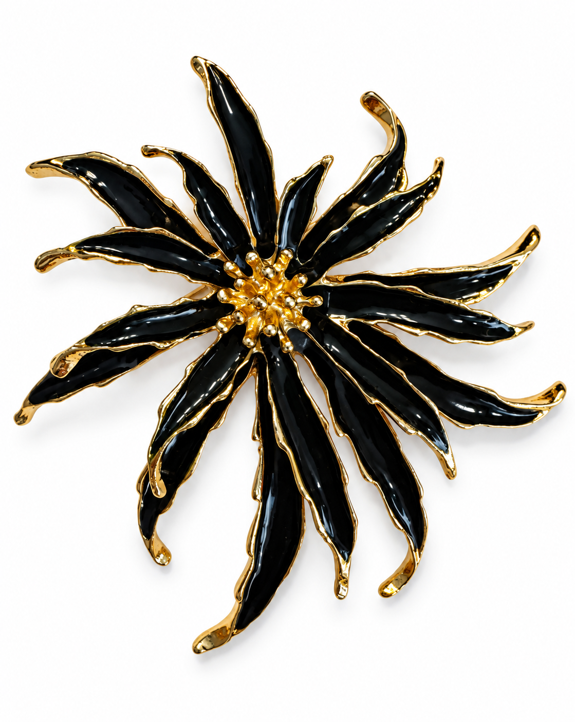 SPILLA STELLA ALPINA