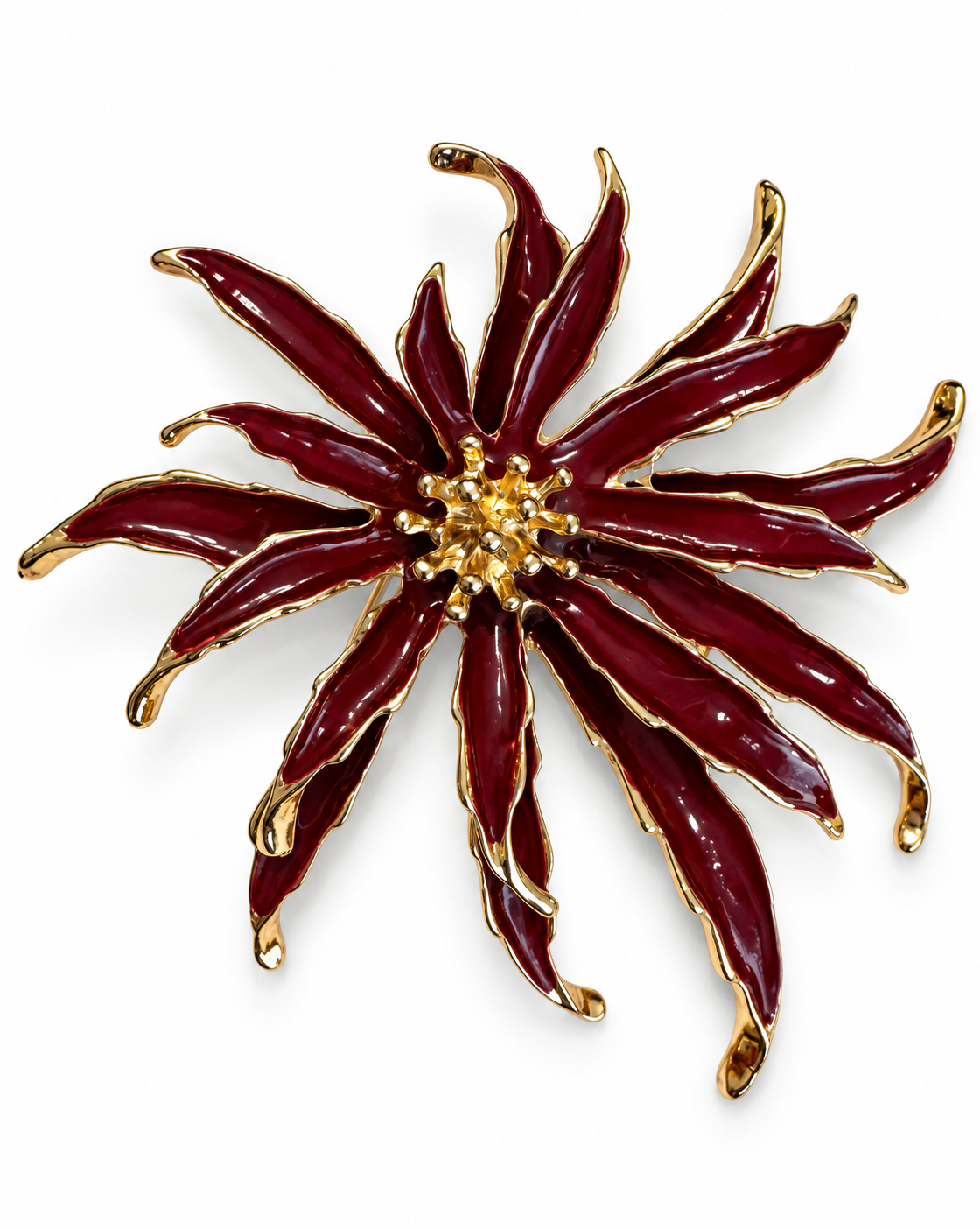 SPILLA STELLA ALPINA