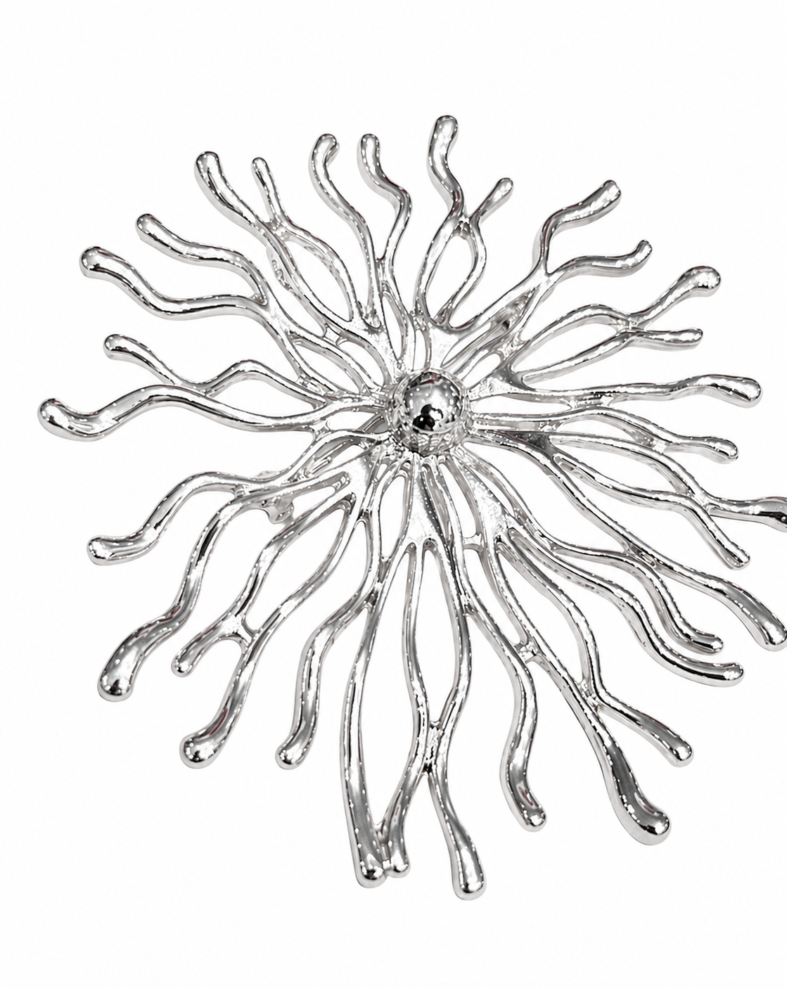 SPILLA CORALLINA