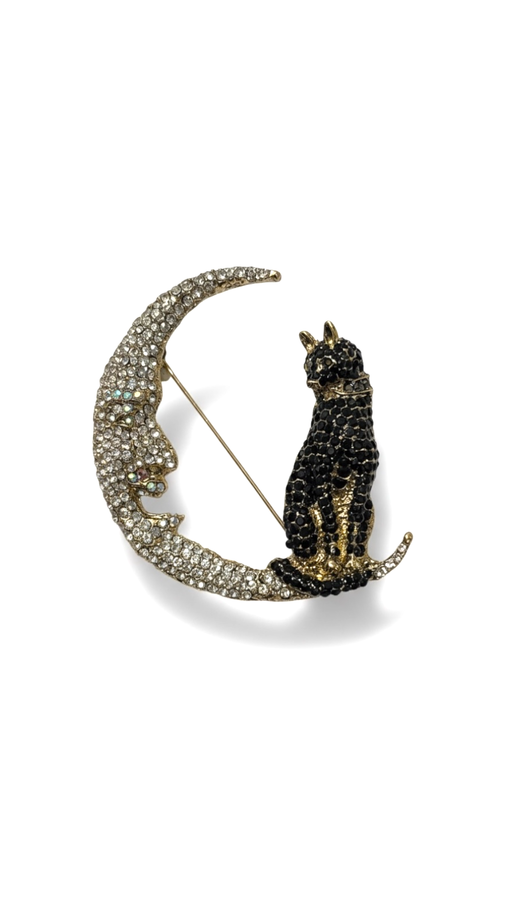 SPILLA LA LUNA E LA GATTA