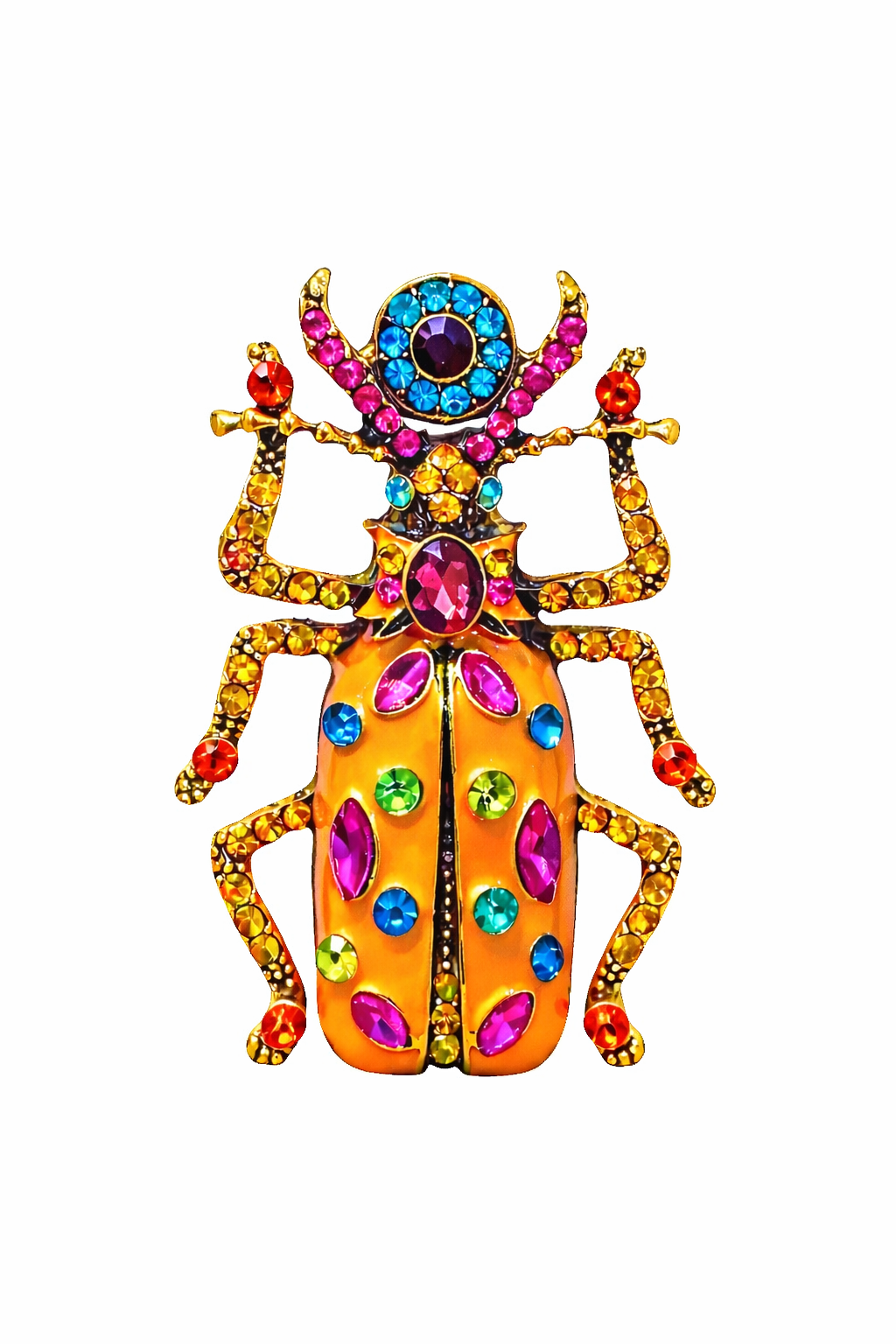 SPILLA RAINBOW BEETLE