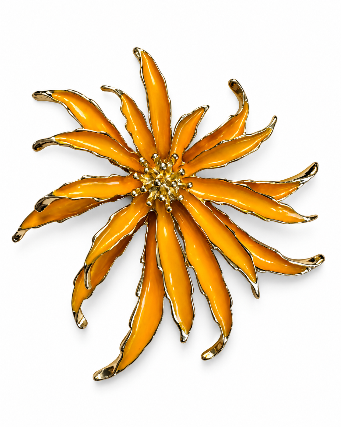 SPILLA STELLA ALPINA